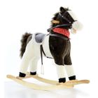 Picture of KON NA BIEGUNACH LACIATY 094